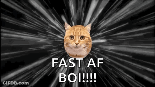 A Cat Is Flying Through Space With The Words `` Fast Af Boi !!! '' Written On It . GIF
