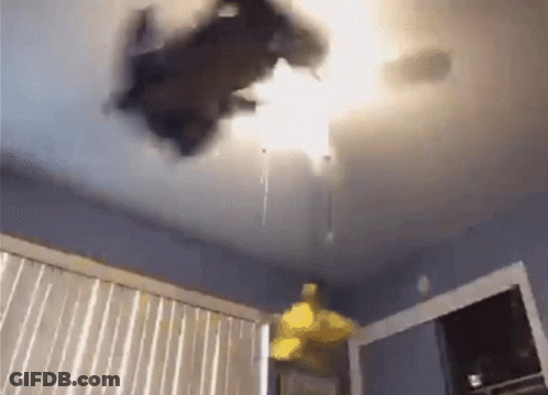 A Cat Is Flying Through The Air In A Room . GIF