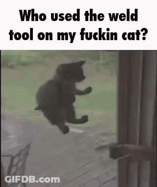 A Cat Is Flying Through The Air In Front Of A Door With The Words `` Who Used The Weld Tool On My Fuckin Cat ? '' GIF