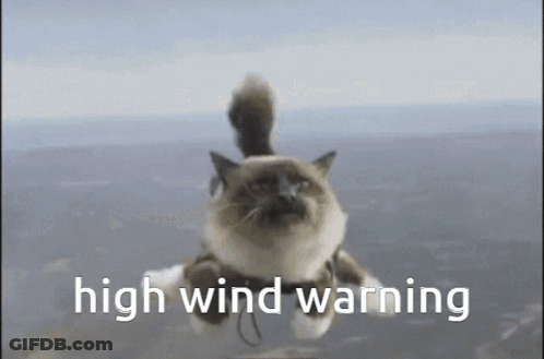 A Cat Is Flying Through The Air With A High Wind Warning Written Below It GIF
