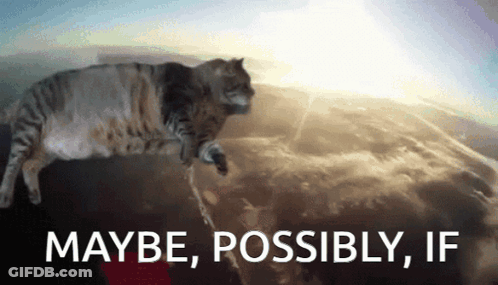 A Cat Is Flying Through The Air With The Words Maybe Possibly If Behind It GIF
