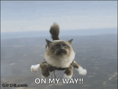 A Cat Is Flying Through The Air With The Words On My Way Written Below It GIF