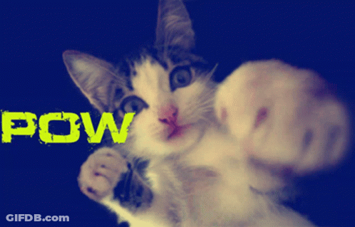 A Cat Is Giving A Fist In The Air With The Word Pow Behind It GIF
