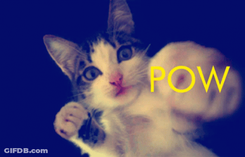 A Cat Is Giving A Fist With The Word Pow Written On It GIF