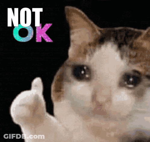 A Cat Is Giving A Thumbs Up With The Words Not Ok Behind It GIF