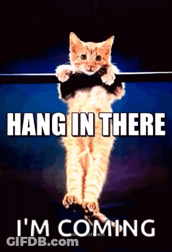 A Cat Is Hanging From A Bar With The Words Hang In There I 'M Coming Below It GIF
