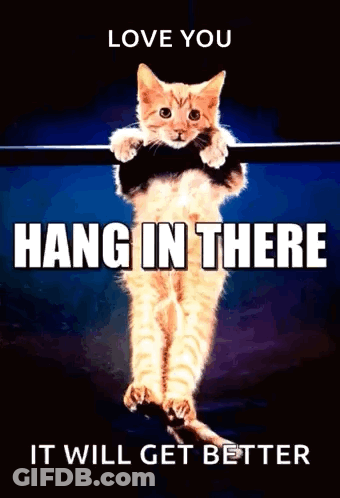 A Cat Is Hanging On A Bar With The Words Love You Hang In There GIF