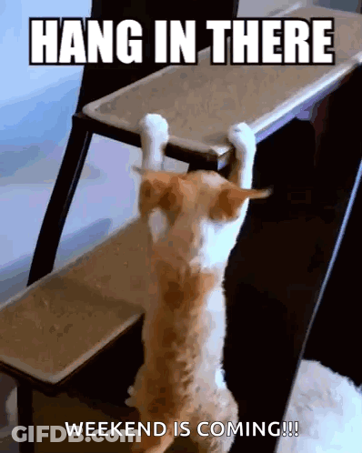 A Cat Is Hanging Upside Down On A Ladder With The Words Hang In There Weekend Is Coming GIF