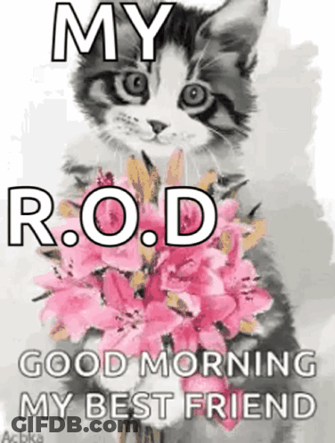 A Cat Is Holding A Bouquet Of Pink Flowers And Saying `` Good Morning My Best Friend '' . GIF