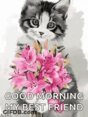 A Cat Is Holding A Bouquet Of Pink Flowers In Its Paws . GIF