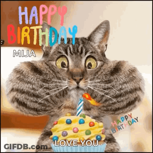 A Cat Is Holding A Cupcake With A Candle And Says Happy Birthday Mija Love You GIF
