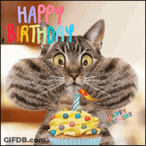 A Cat Is Holding A Cupcake With A Candle And The Words Happy Birthday Written On It GIF