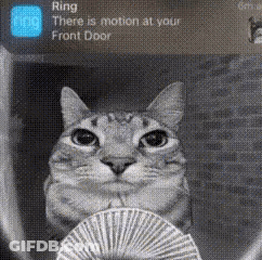 A Cat Is Holding A Fan In Front Of A Door That Says Ring There Is Motion At Your Front Door . GIF