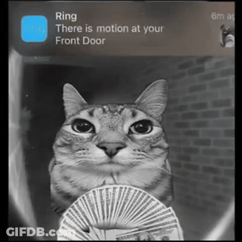 A Cat Is Holding A Fan Of Money In Front Of A Ring App GIF