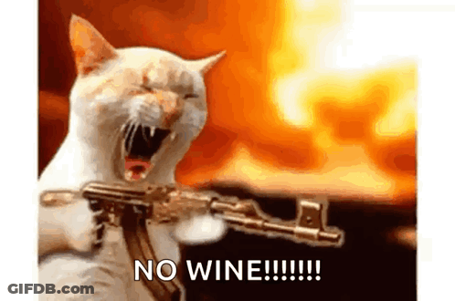 A Cat Is Holding A Gun In Front Of A Fire And Saying No Wine !!! GIF