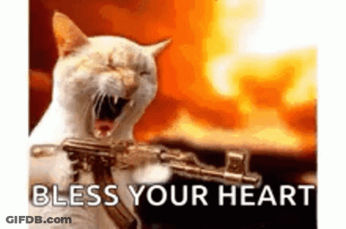 A Cat Is Holding A Gun In Front Of A Fire With The Words `` Bless Your Heart '' . GIF