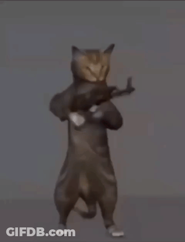 A Cat Is Holding A Gun Over Its Shoulder In A Cartoon . GIF