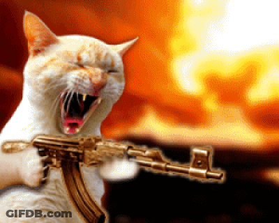 A Cat Is Holding A Gun With Its Mouth Open GIF