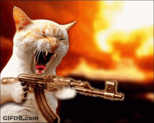 A Cat Is Holding A Gun With Its Mouth Open GIF