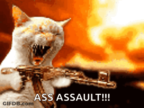 A Cat Is Holding A Gun With The Words Ass Assault Written On The Bottom GIF