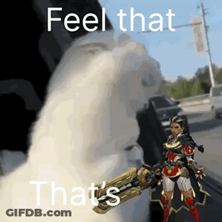 A Cat Is Holding A Gun With The Words Feel That That 'S On It GIF