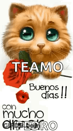 A Cat Is Holding A Red Rose In Its Mouth And Says `` Teamo Buenos Dias '' . GIF
