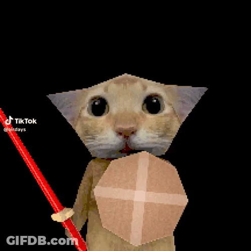 A Cat Is Holding A Red Sword And Shield And Says Tik Tok GIF
