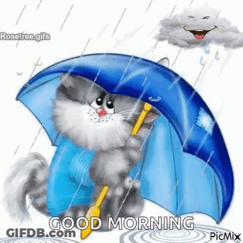 A Cat Is Holding An Umbrella In The Rain And Says Good Morning . GIF