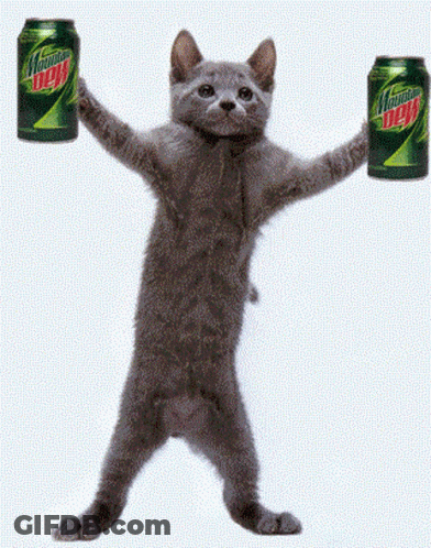 Cat Holding Two Mountain Dew Cans GIF