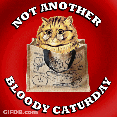 A Cat Is In A Bag That Says Not Another Bloody Caturday GIF