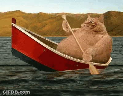 A Cat Is In A Boat With A Paddle In The Water .. GIF