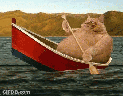 A Cat Is In A Boat With A Paddle In The Water .. GIF