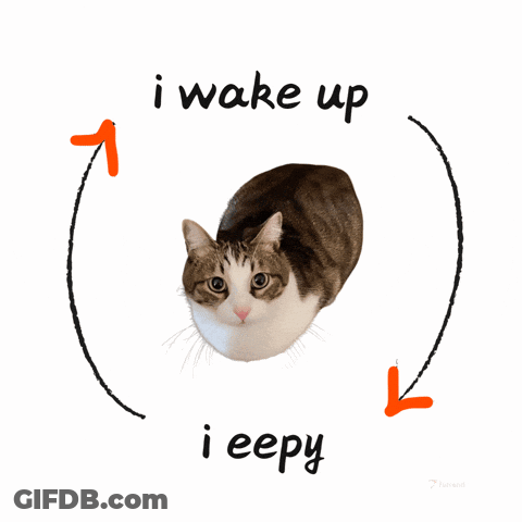 A Cat Is In A Circle With The Words I Wake Up I Eepy GIF