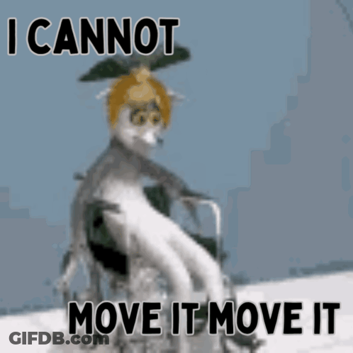 A Cat Is In A Wheelchair With The Words " I Cannot Move It Move It " GIF