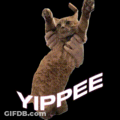 A Cat Is Jumping In The Air With The Word Yippee Written Above It GIF