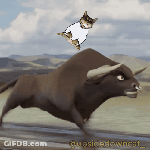 A Cat Is Jumping On Top Of A Bull With The Caption @Upsidedowncat GIF