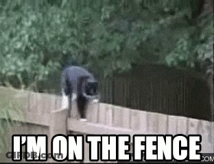 A Cat Is Jumping Over A Fence With The Words `` I 'M On The Fence '' Below It . GIF