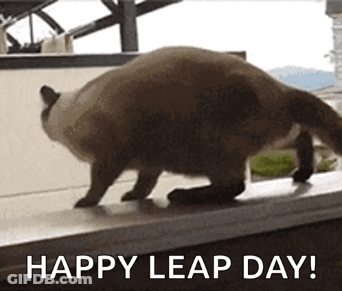 A Cat Is Jumping Over A Window Sill With The Words Happy Leap Day Written Below It GIF