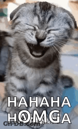A Cat Is Laughing With Its Eyes Closed And The Words `` Hahaha Homga '' Written On The Bottom . GIF