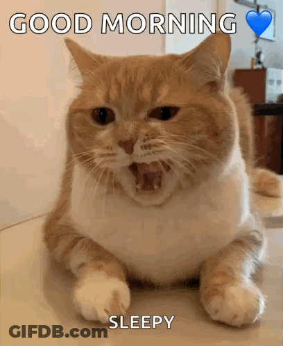 A Cat Is Laying Down With Its Mouth Open And The Words Good Morning Sleepy Above It GIF
