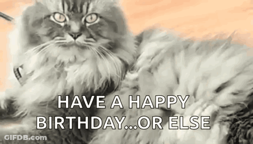 A Cat Is Laying Down With The Words `` Have A Happy Birthday ... Or Else '' Written On It . GIF