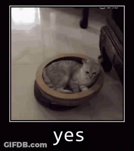 A Cat Is Laying In A Cardboard Box On Top Of A Robot Vacuum Cleaner . GIF