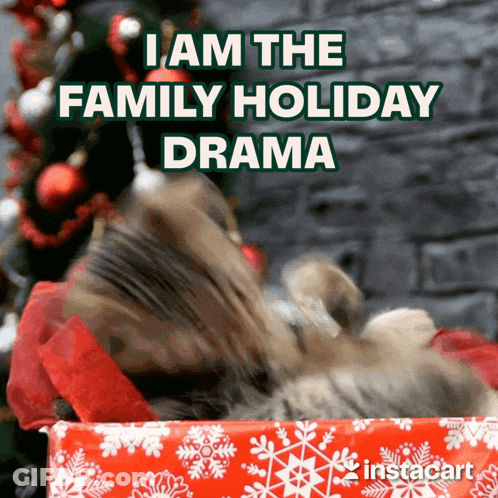 A Cat Is Laying In A Christmas Gift Box With The Caption I Am The Family Holiday Drama GIF