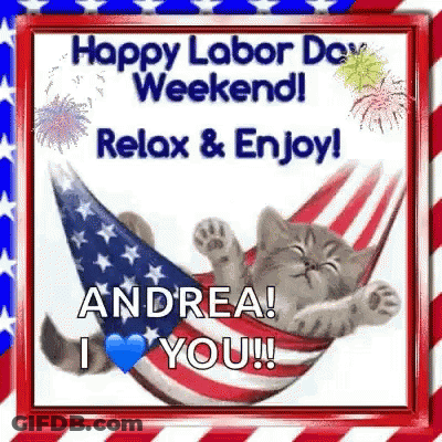 A Cat Is Laying In A Hammock With An American Flag On It . GIF