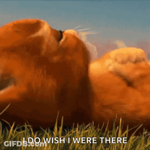 A Cat Is Laying In The Grass With The Words " I Do Wish I Were There " Written Below It GIF