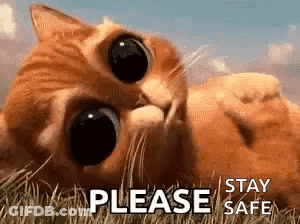 A Cat Is Laying In The Grass With The Words `` Please Stay Safe '' Written Next To It . GIF