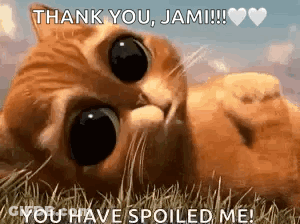 A Cat Is Laying In The Grass With The Words `` Thank You , Jami ! `` GIF