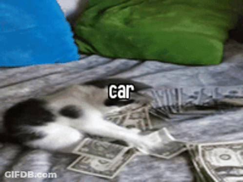 A Cat Is Laying On A Bed Next To A Pile Of Money And The Word Car Is Above It GIF