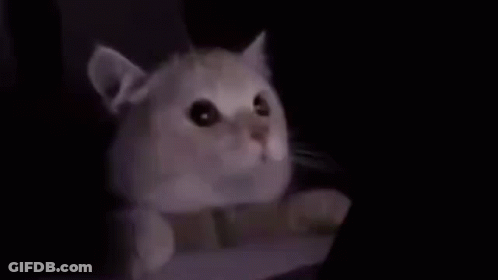 A Cat Is Laying On A Bed Next To A Tablet Computer . GIF