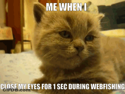 A Cat Is Laying On A Bed With A Caption That Says Me When I Close My Eyes For 1 Sec During Webfishing GIF